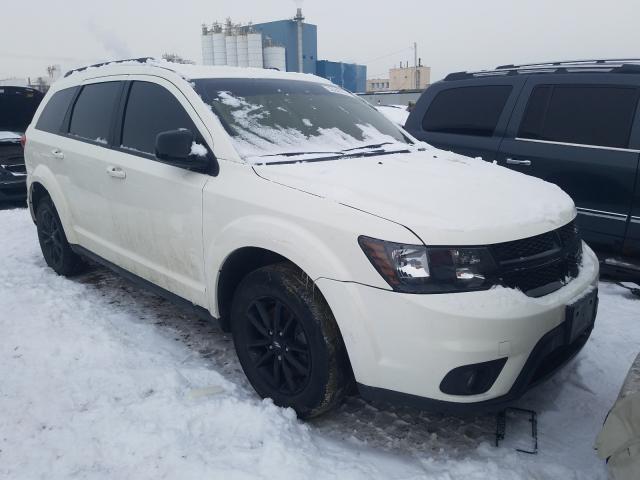 DODGE JOURNEY SE 2019 3c4pdcbb1kt867609