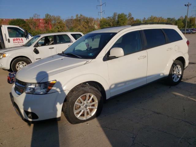 DODGE JOURNEY 2014 3c4pddbg4et112850