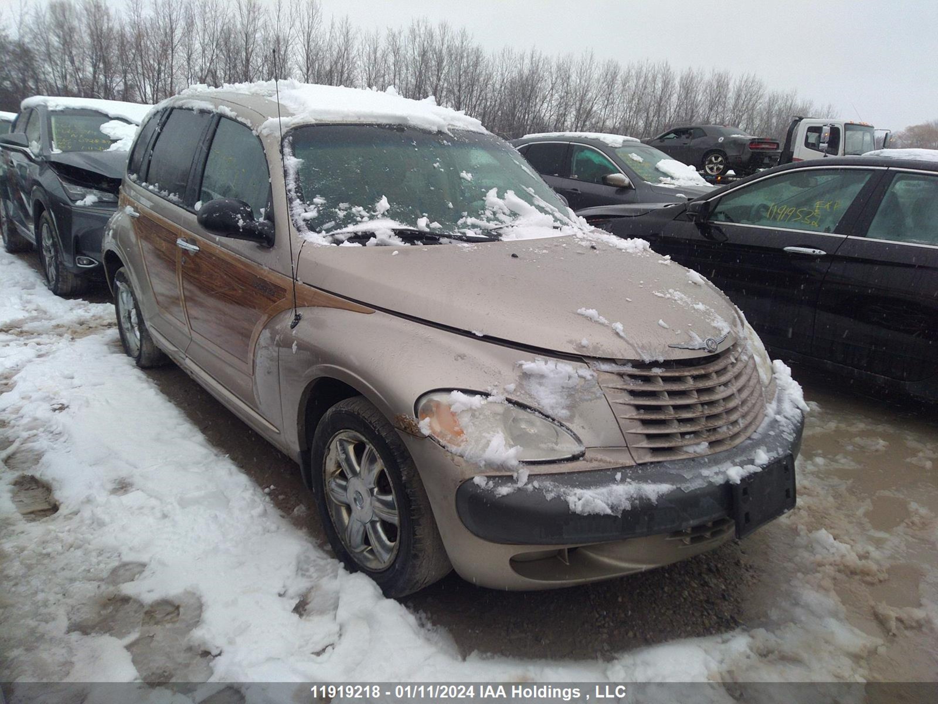 CHRYSLER PT CRUISER 2002 3c8fy68bx2t379749