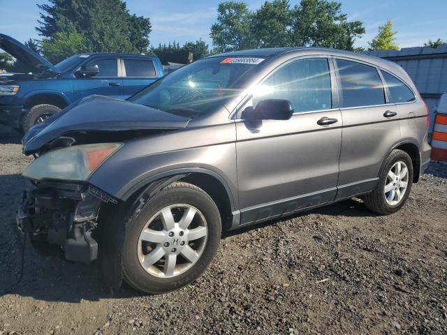 HONDA CRV 2009 3czre48509g704721