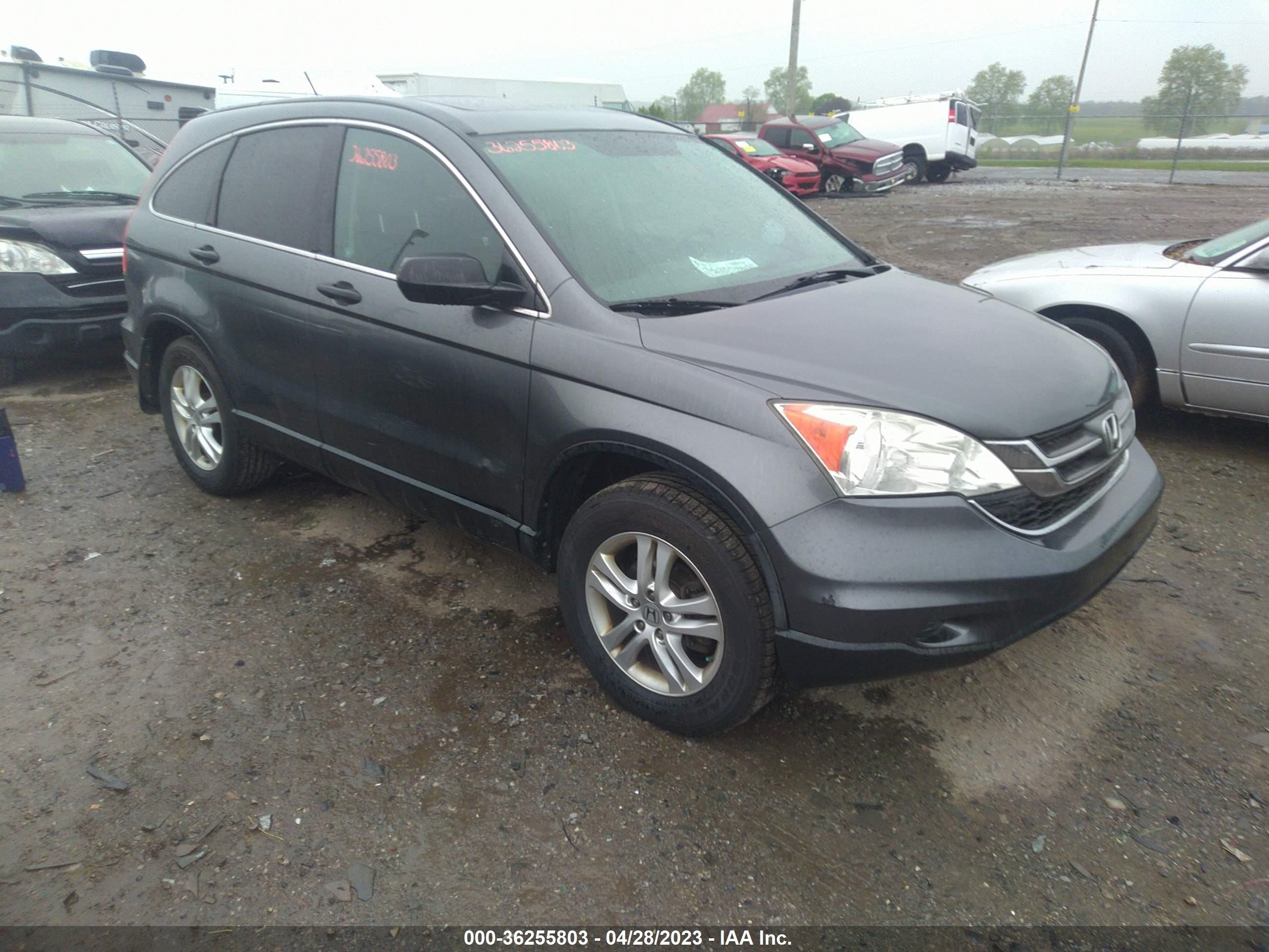 HONDA CR-V 2011 3czre4h59bg701659