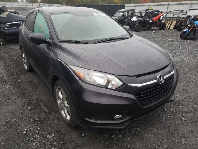 HONDA NULL 2016 3czru6h51gm728300