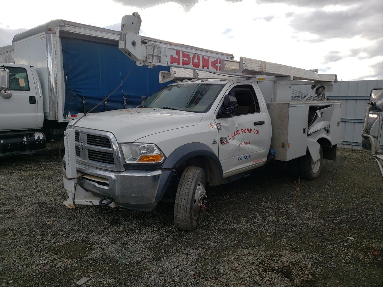 DODGE RAM 2011 3d6wu7el1bg503328