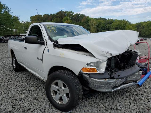 DODGE RAM 1500 2010 3d7jb1ep0ag103058