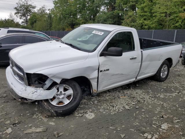 DODGE RAM 1500 2010 3d7jb1ep5ag103041