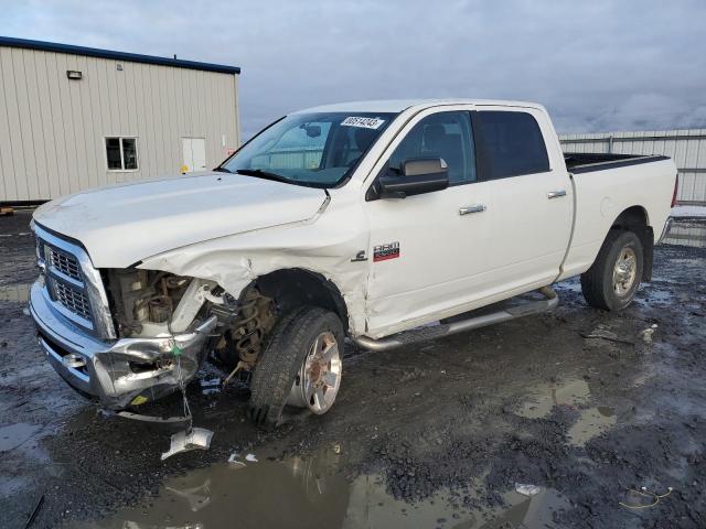 DODGE ALL MODELS 2011 3d7ut2cl0bg528023