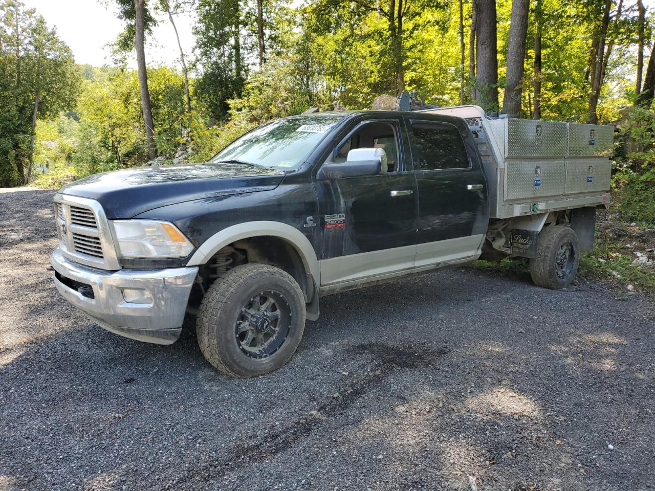 DODGE RAM 2010 3d7ut2cl7ag157358