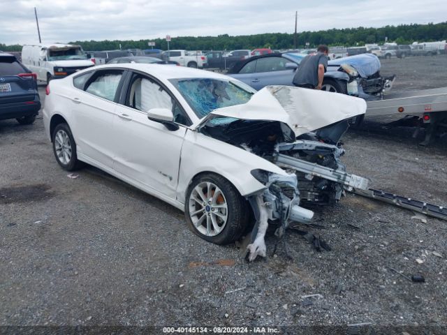 FORD FUSION 2019 3fa6p0lu2kr101330