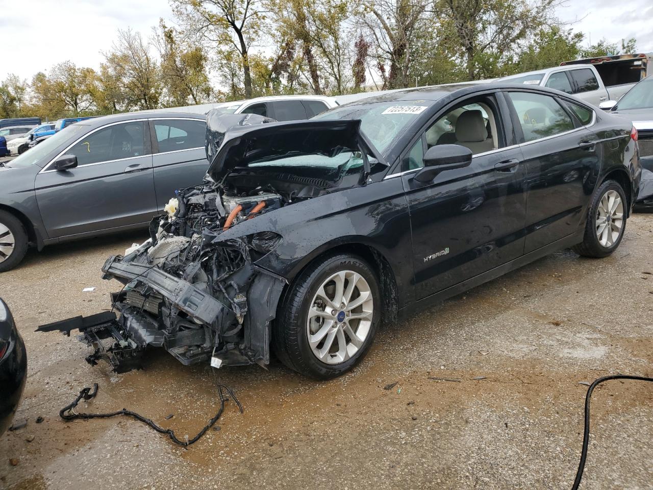 FORD FUSION 2019 3fa6p0lu4kr105119