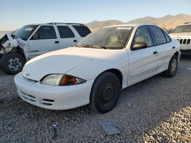 CHEVROLET CAVALIER B 2001 3g1jc52441s229129