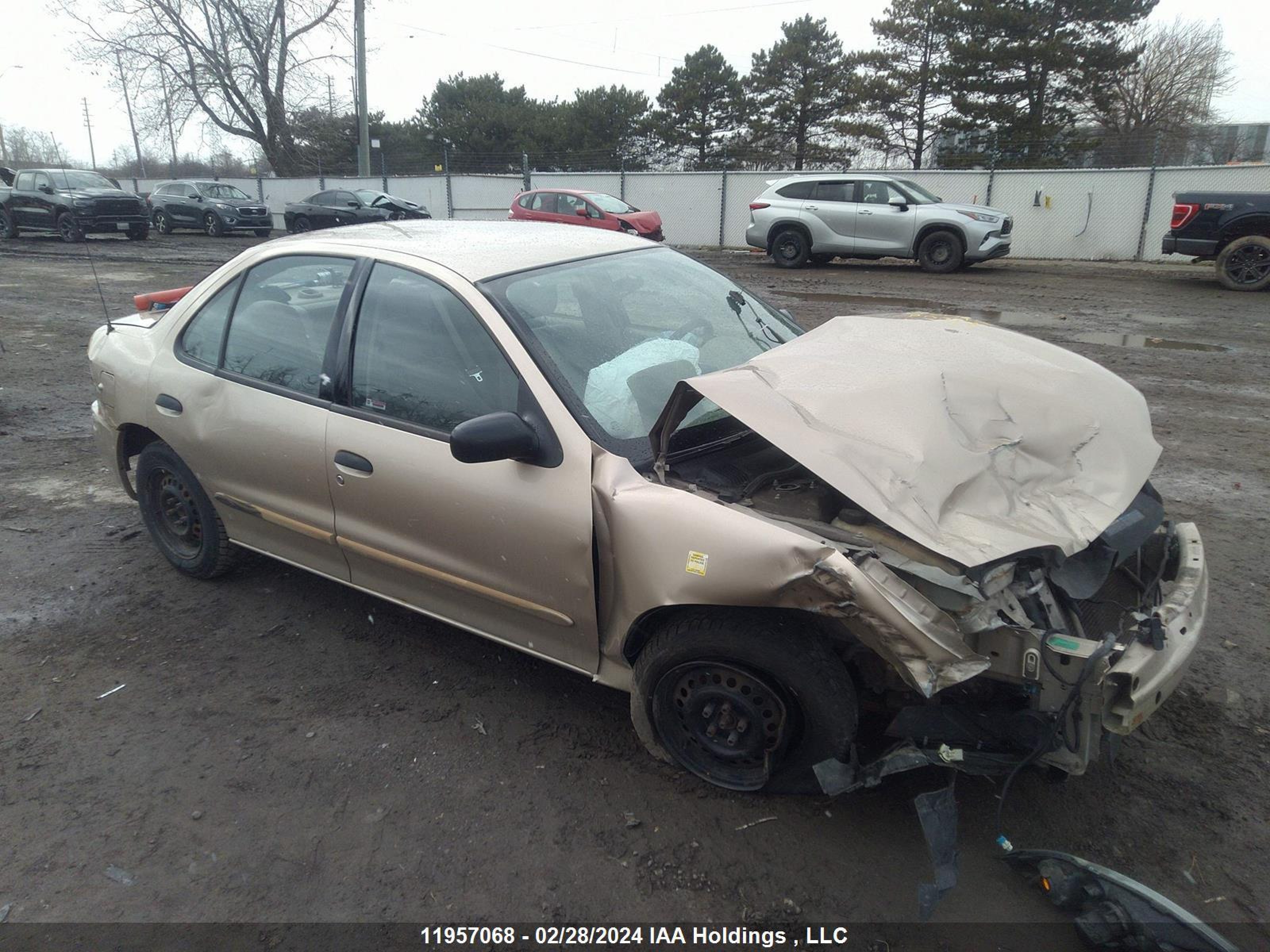 CHEVROLET CAVALIER 2004 3g1jc52f84s103345