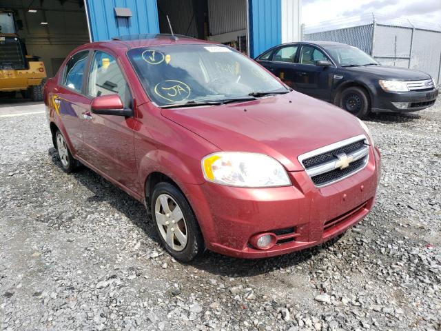 CHEVROLET AVEO LT 2010 3g1tc5de5al134183