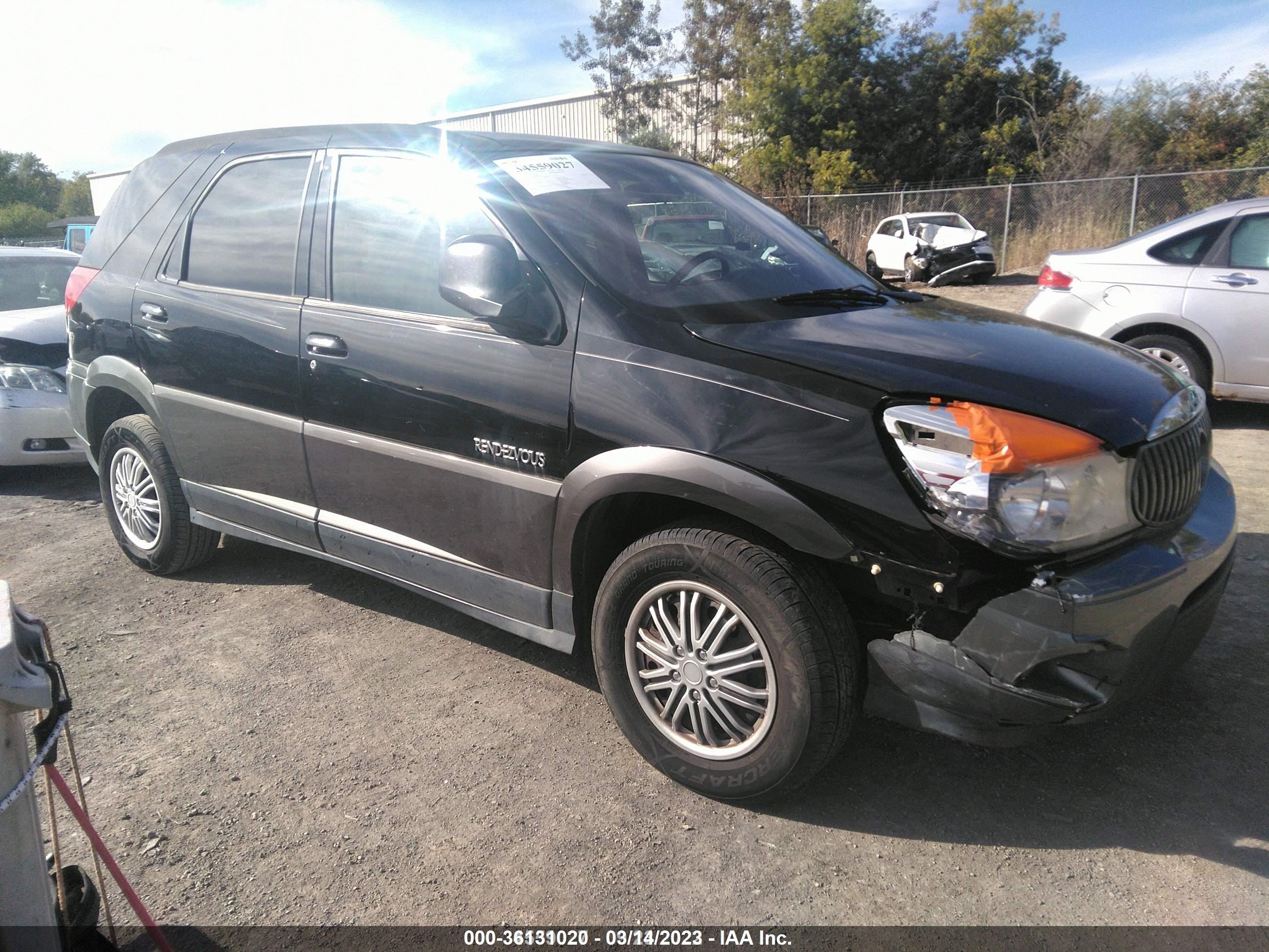 BUICK RENDEZVOUS 2003 3g5da03e33s588373