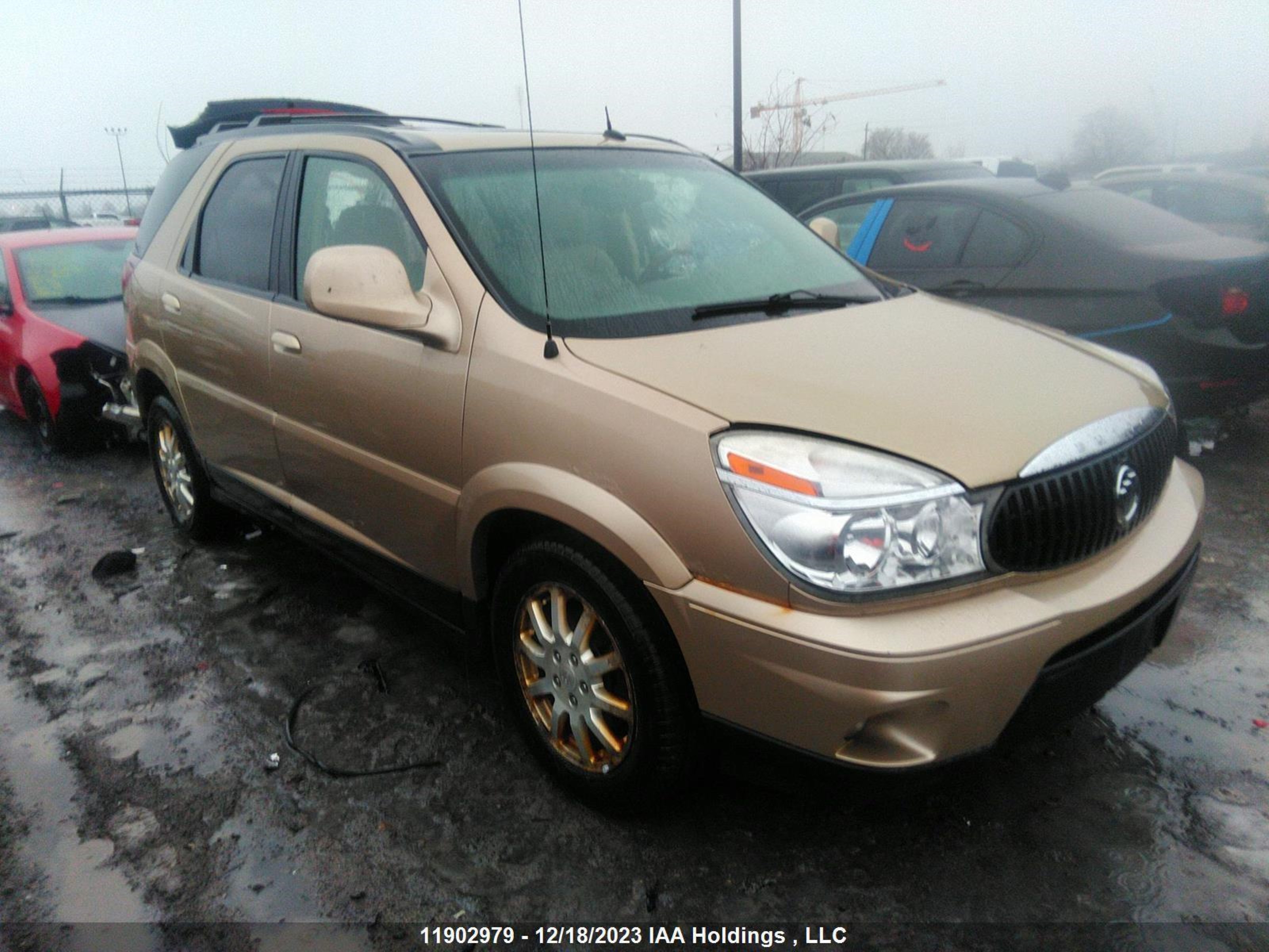 BUICK RENDEZVOUS 2006 3g5db03706s574465