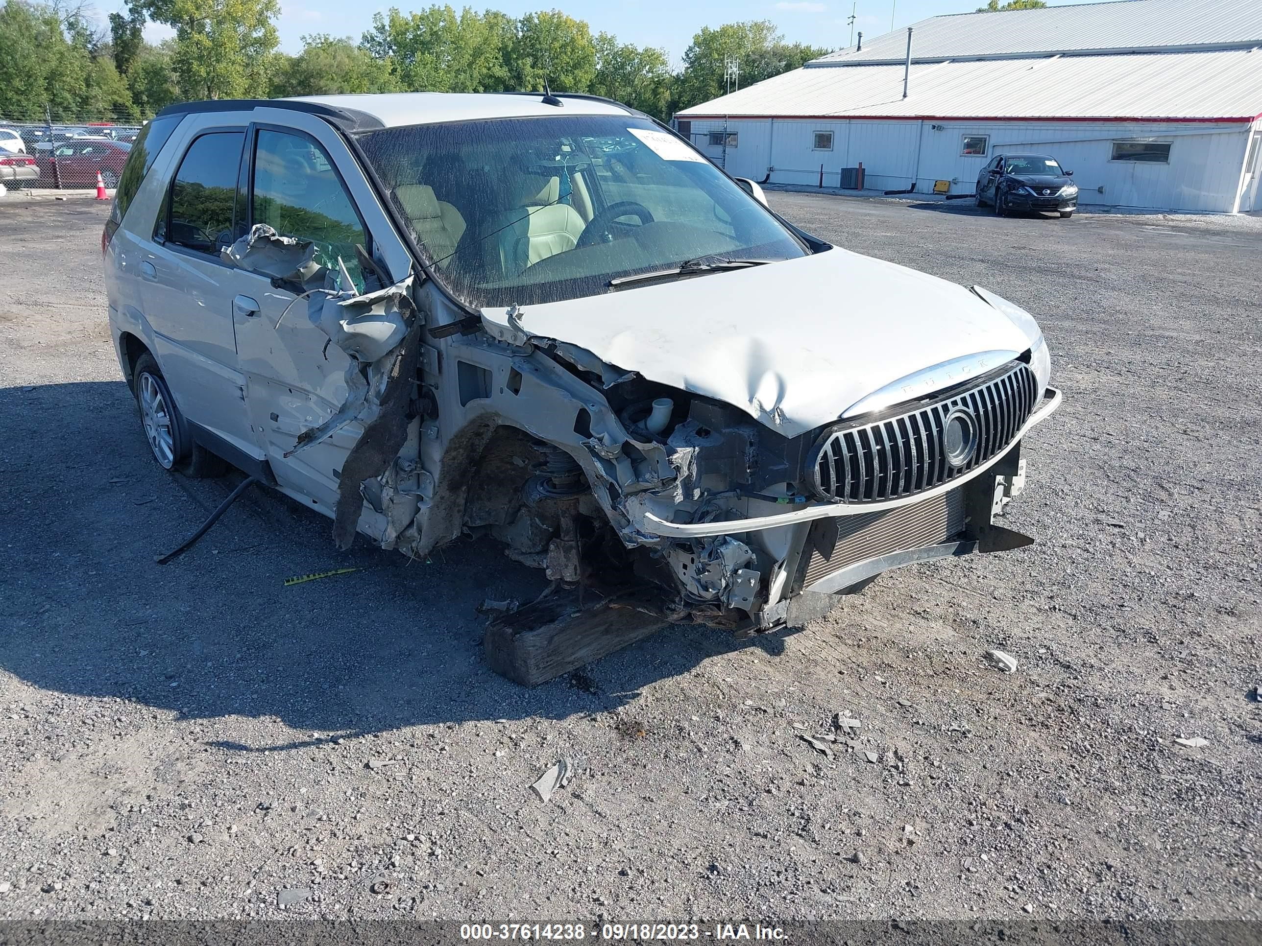 BUICK RENDEZVOUS 2006 3g5db03l26s607074