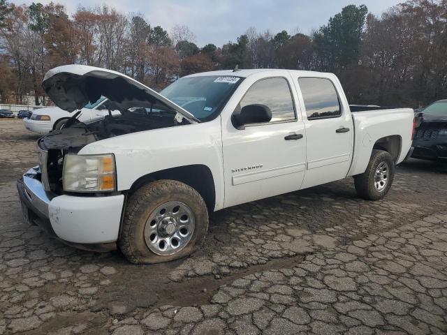 CHEVROLET SILVERADO 2009 3gcec13c39g119551