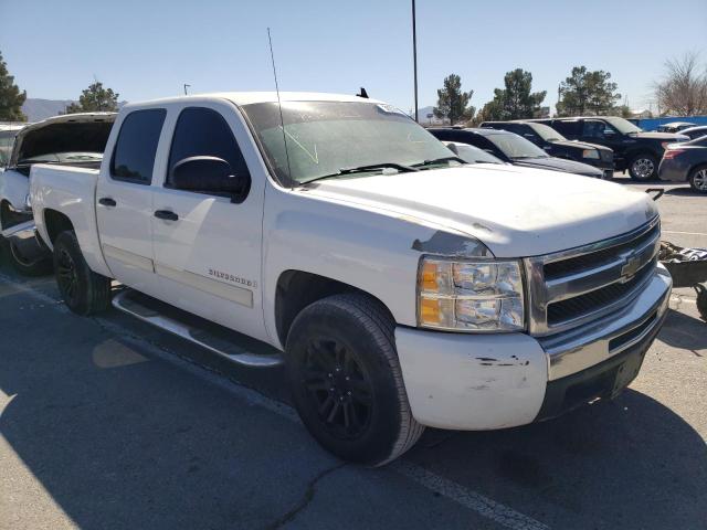 CHEVROLET SILVERADO 2009 3gcec13c49g185249