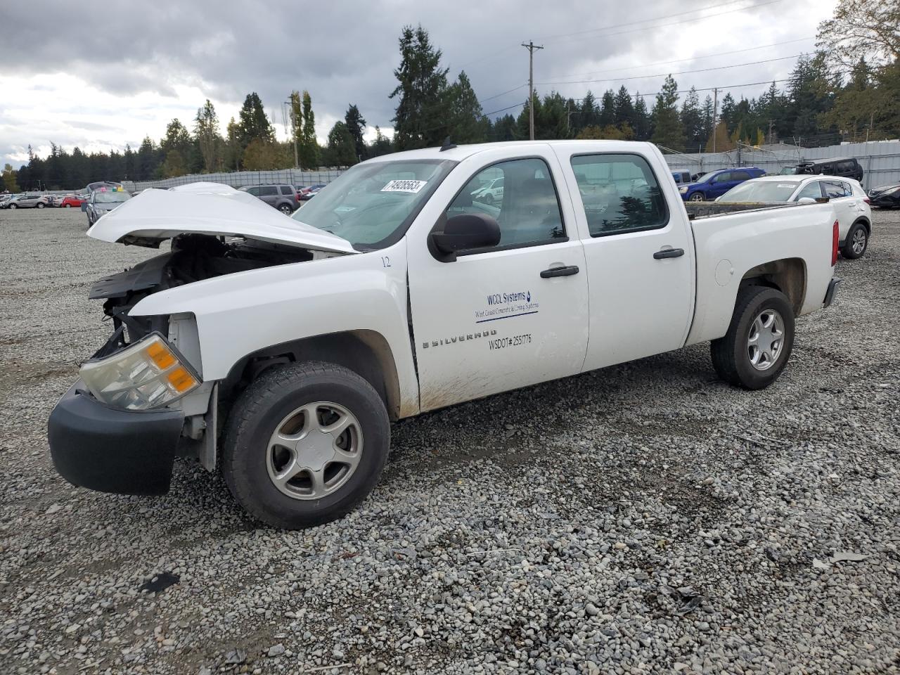 CHEVROLET SILVERADO 2008 3gcec13c58g239169