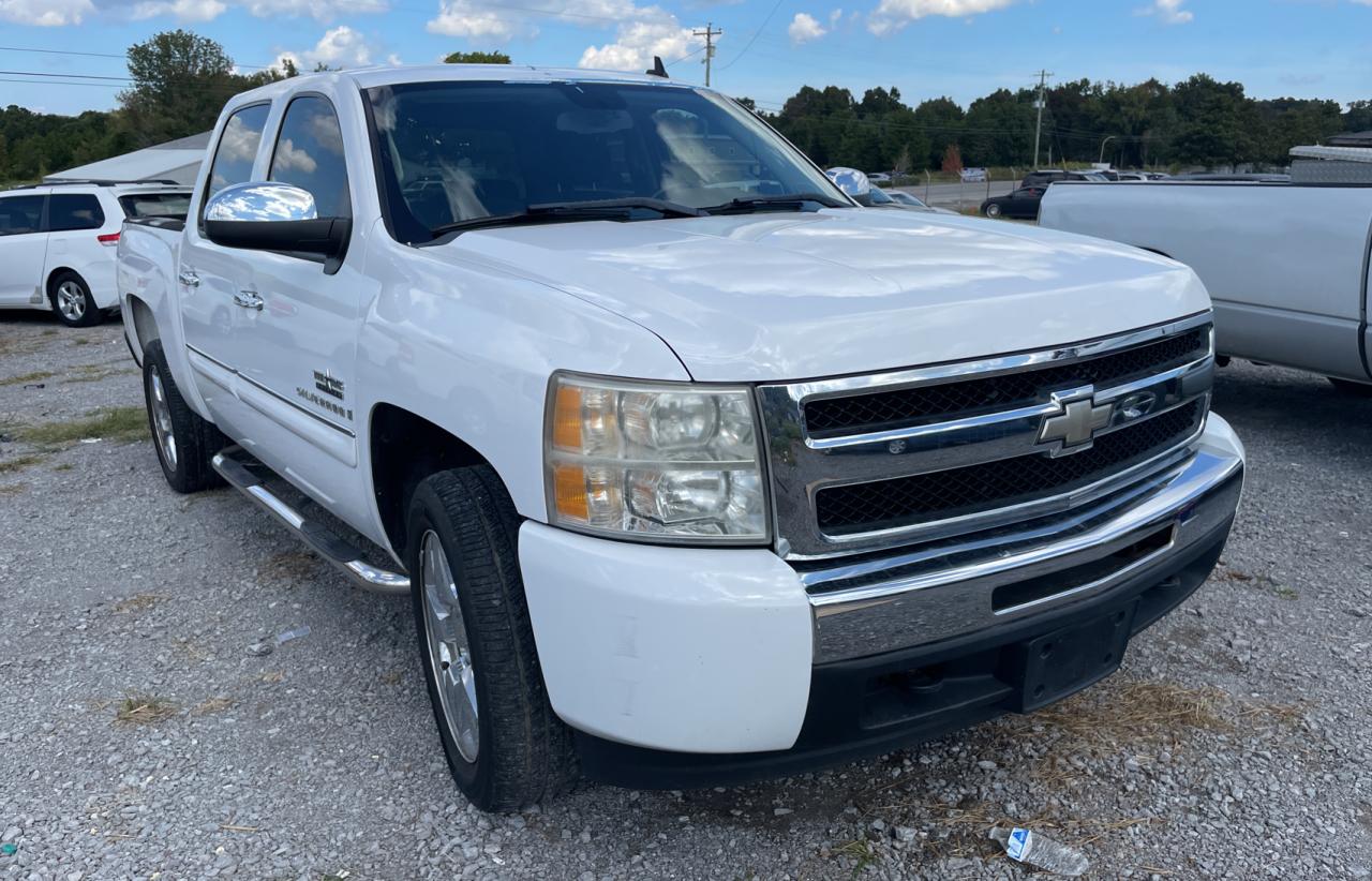 CHEVROLET SILVERADO 2009 3gcec23049g135009