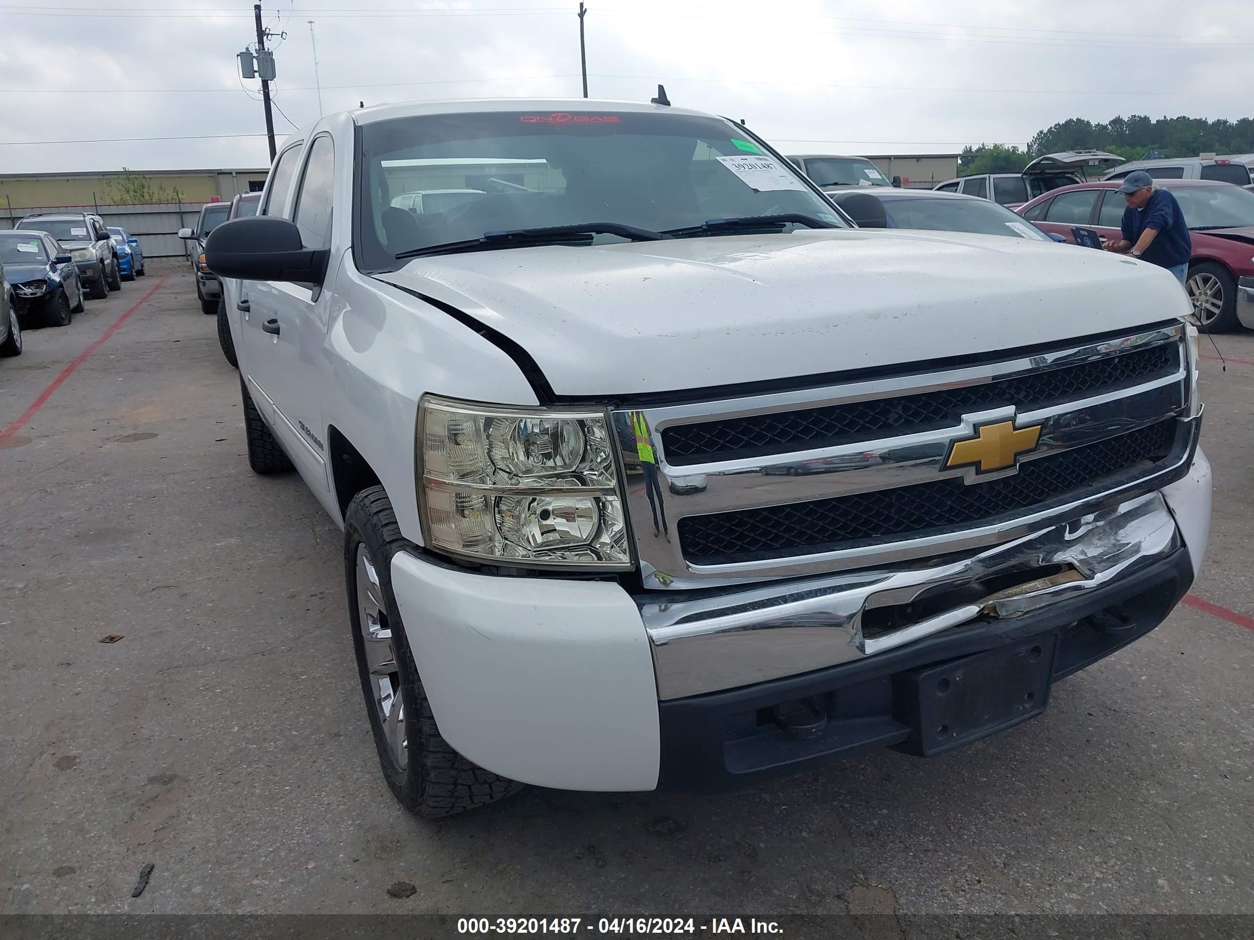 CHEVROLET SILVERADO 2009 3gcec23049g209660