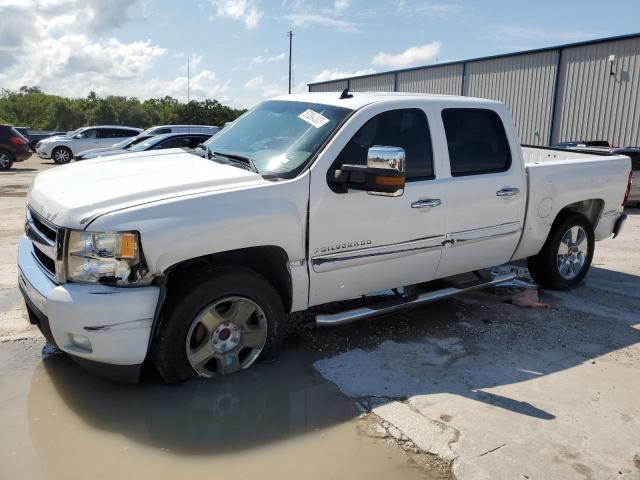 CHEVROLET SILVERADO 2009 3gcec23079g279654