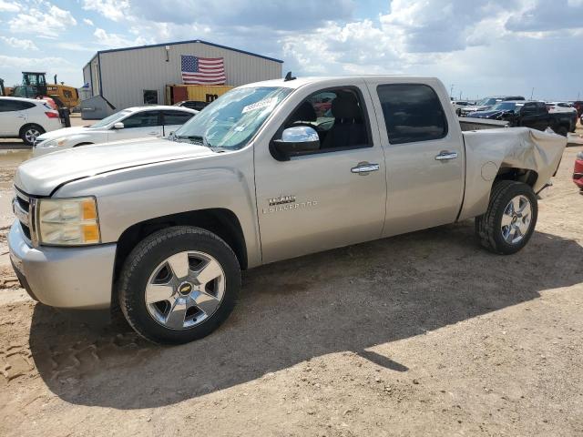 CHEVROLET SILVERADO 2009 3gcec23089g164562