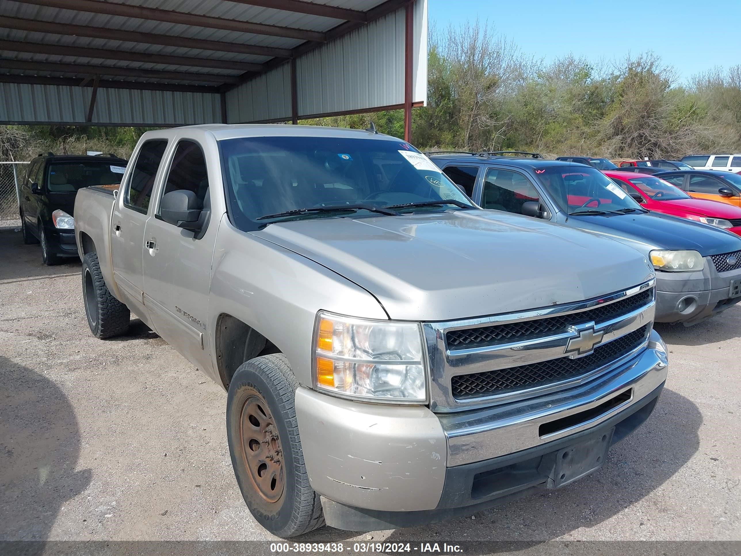 CHEVROLET SILVERADO 2009 3gcec230x9g259074