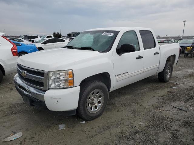 CHEVROLET SILVERADO 2009 3gcec23c29g234695