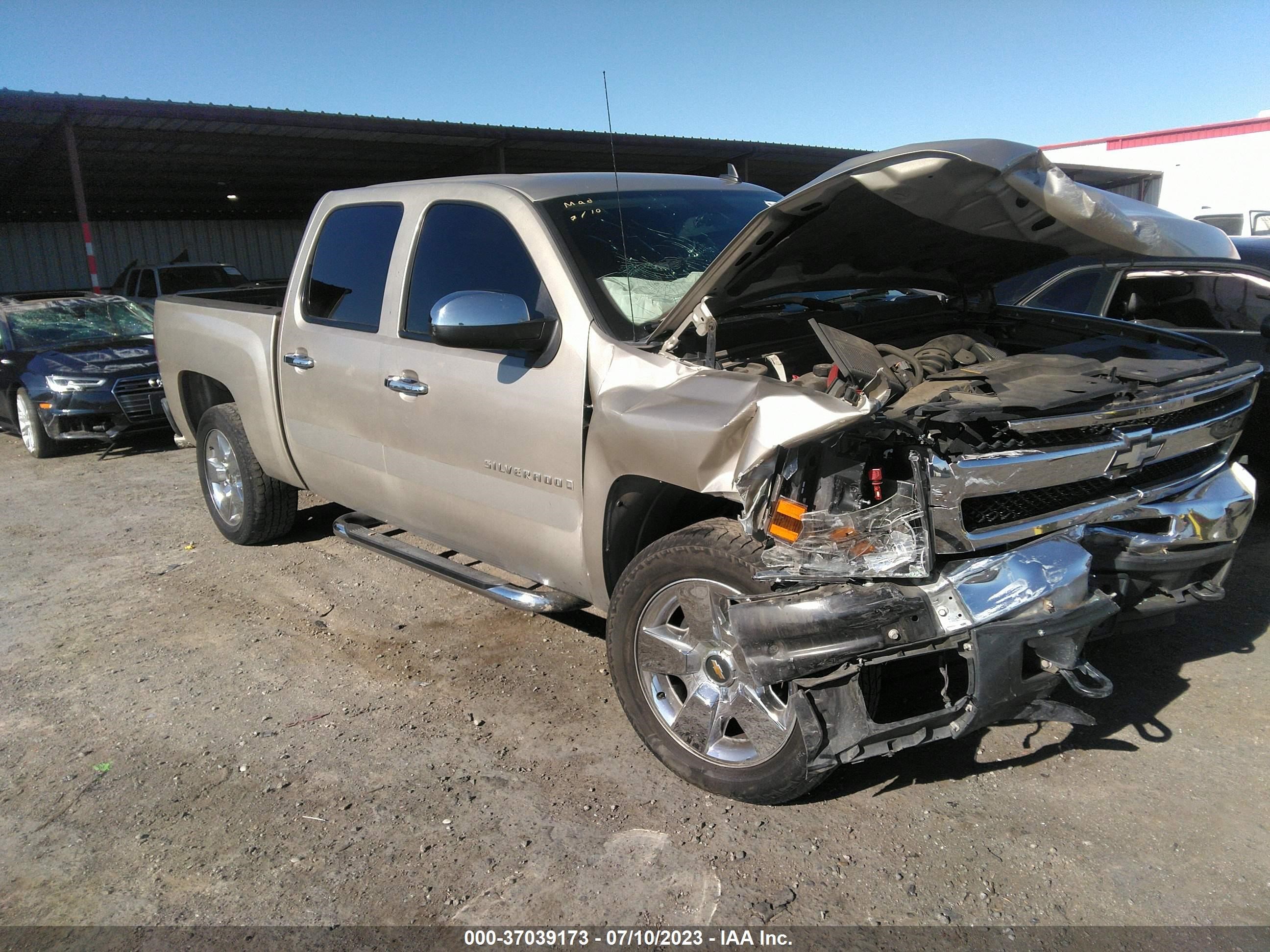 CHEVROLET SILVERADO 2009 3gcec23j19g193393