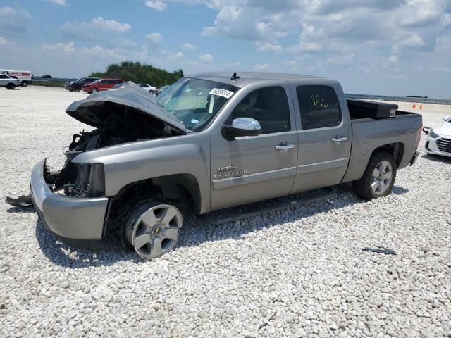 CHEVROLET C/K2500 2009 3gcec23j79g238952