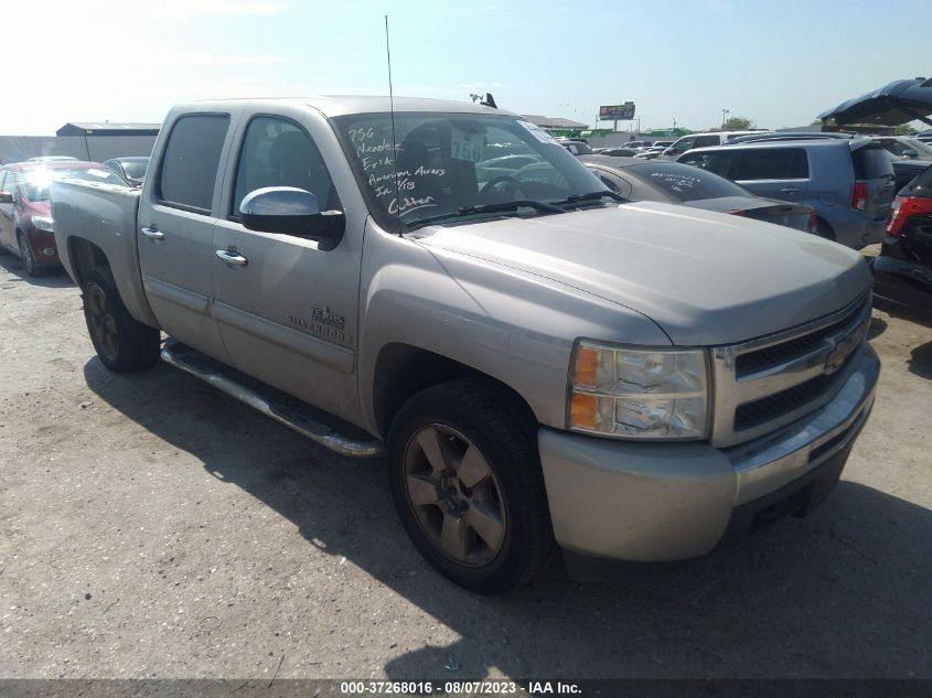 CHEVROLET SILVERADO 2009 3gcec23j99g216449