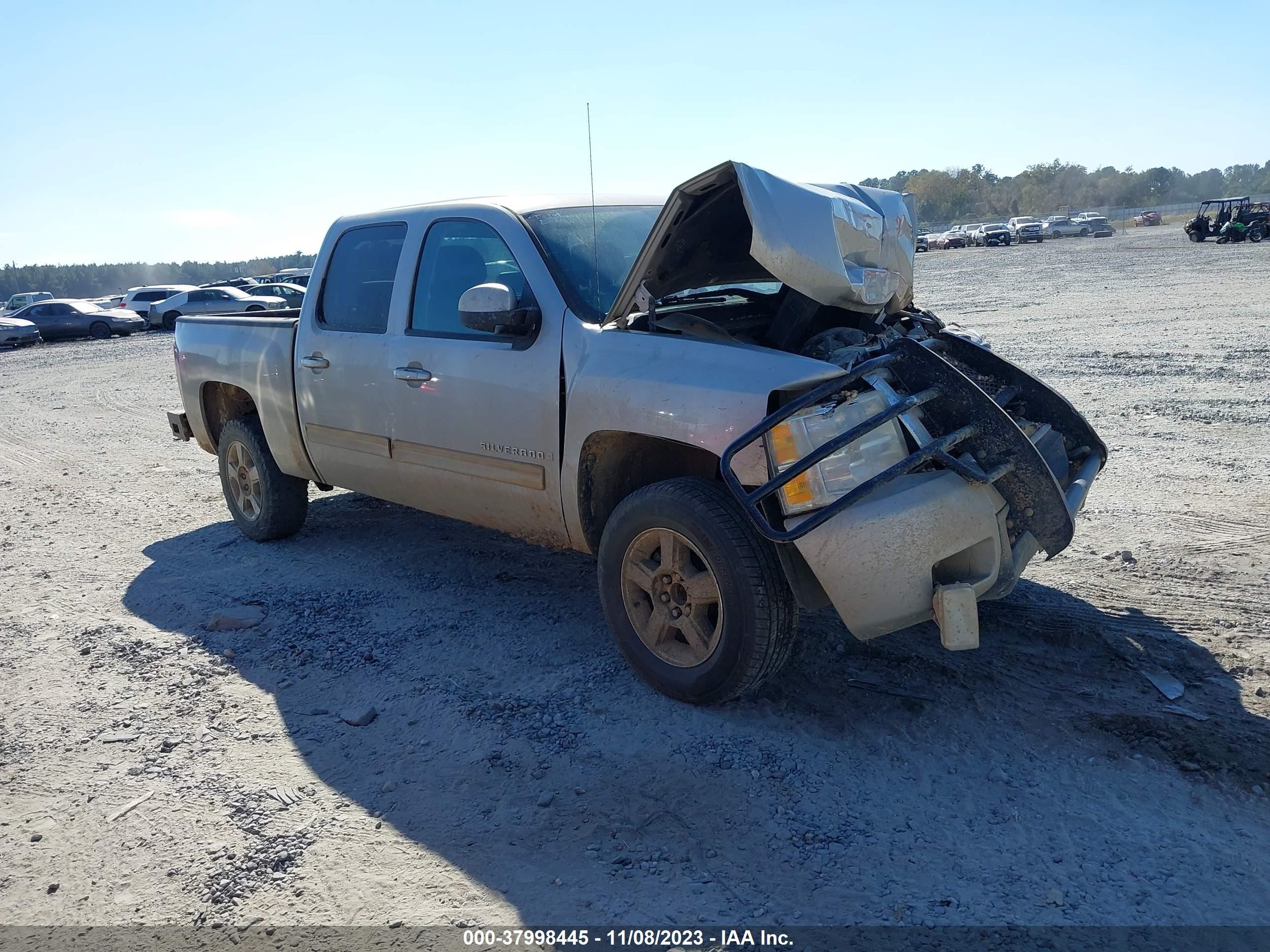 CHEVROLET SILVERADO 2009 3gcec33049g203623