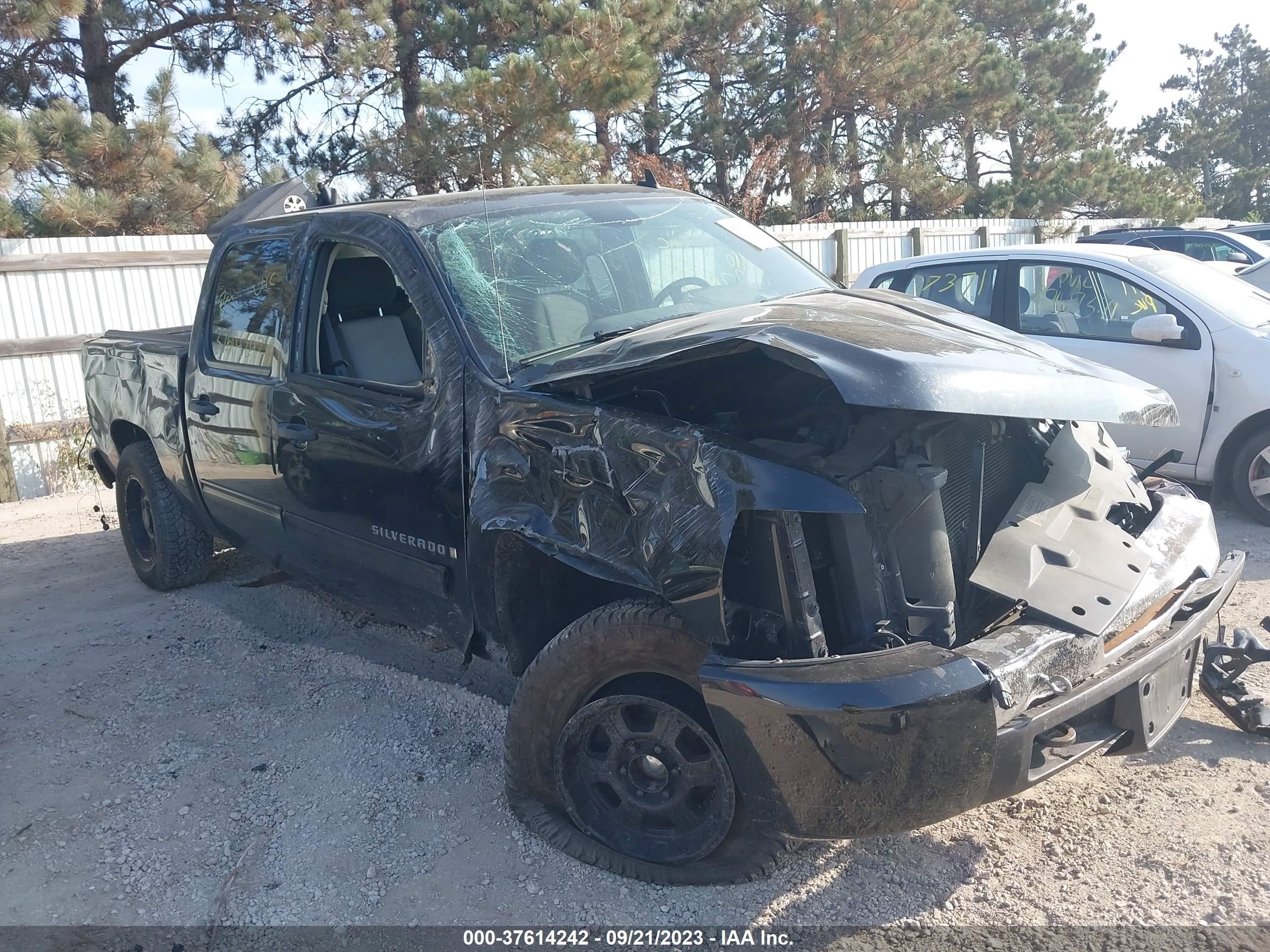 CHEVROLET SILVERADO 2009 3gcek13c69g230212