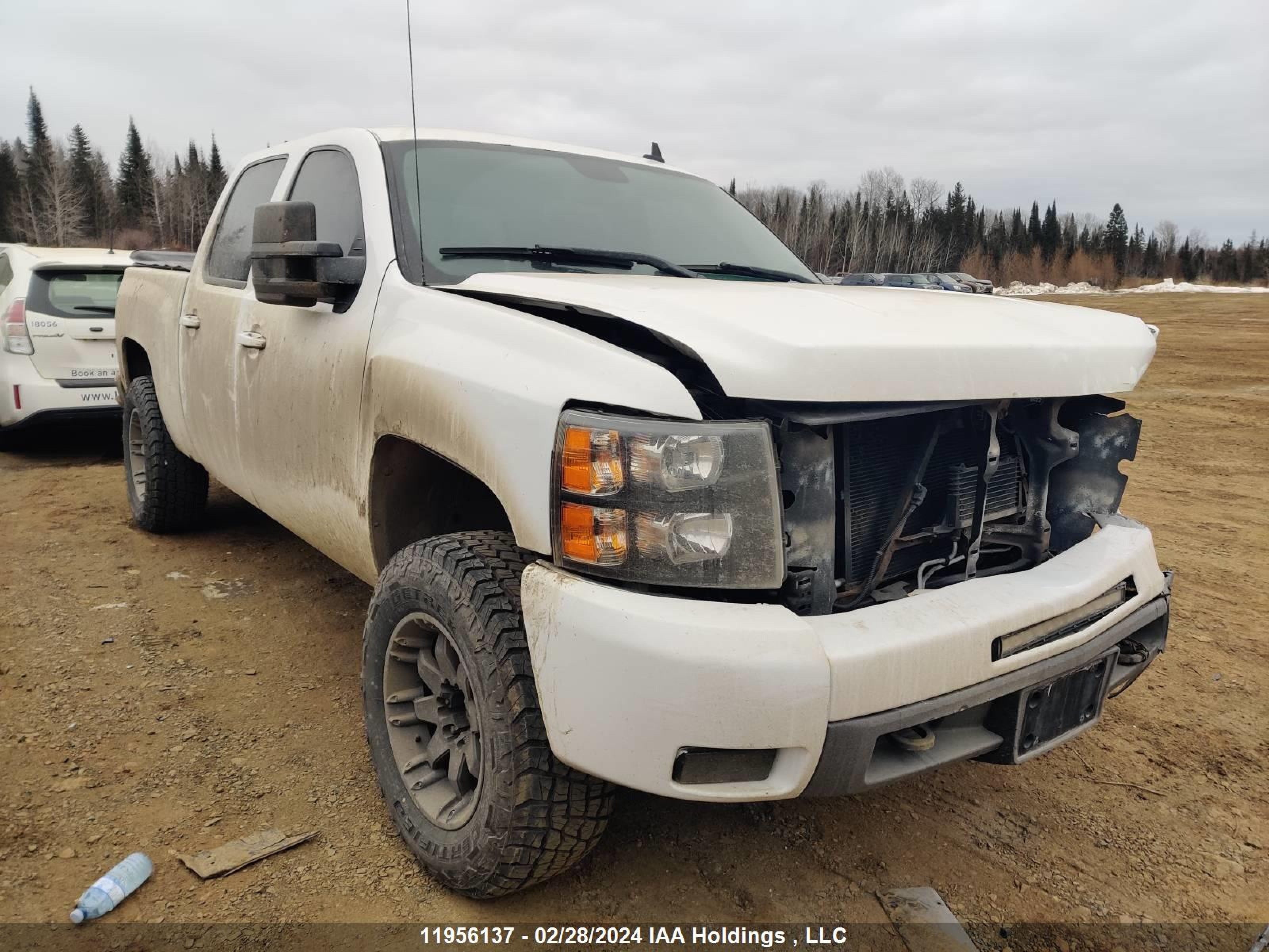 CHEVROLET SILVERADO 2009 3gcek13m09g200504