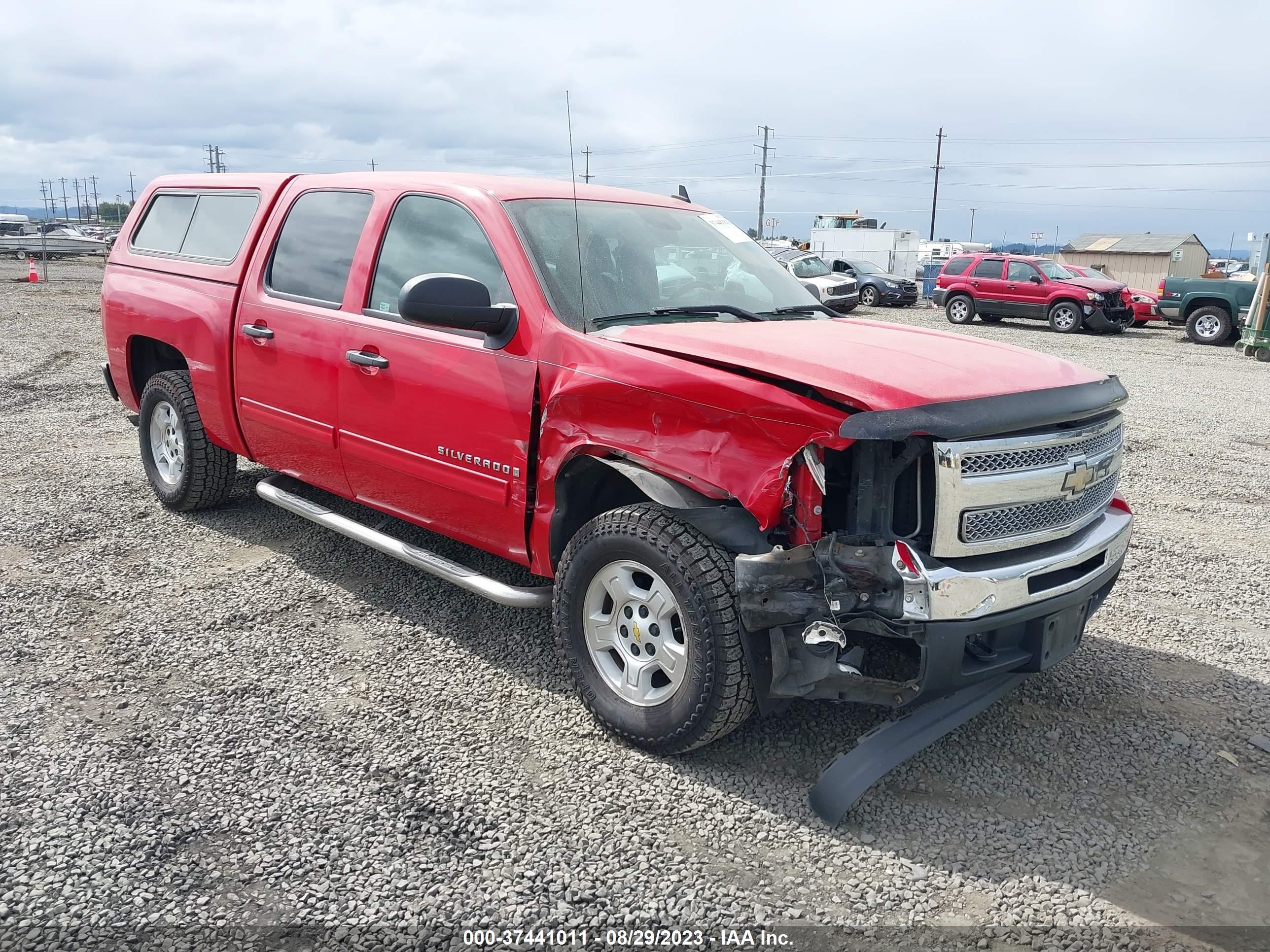 CHEVROLET SILVERADO 2009 3gcek23m19g254495