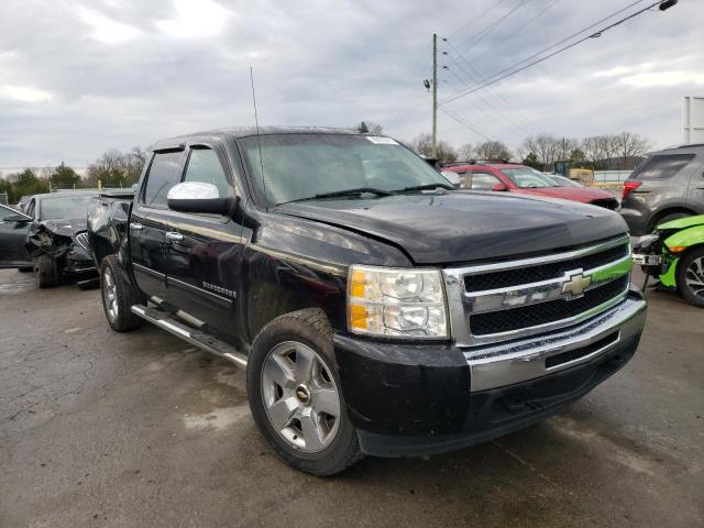 CHEVROLET SILVERADO 2009 3gcek23m59g197699