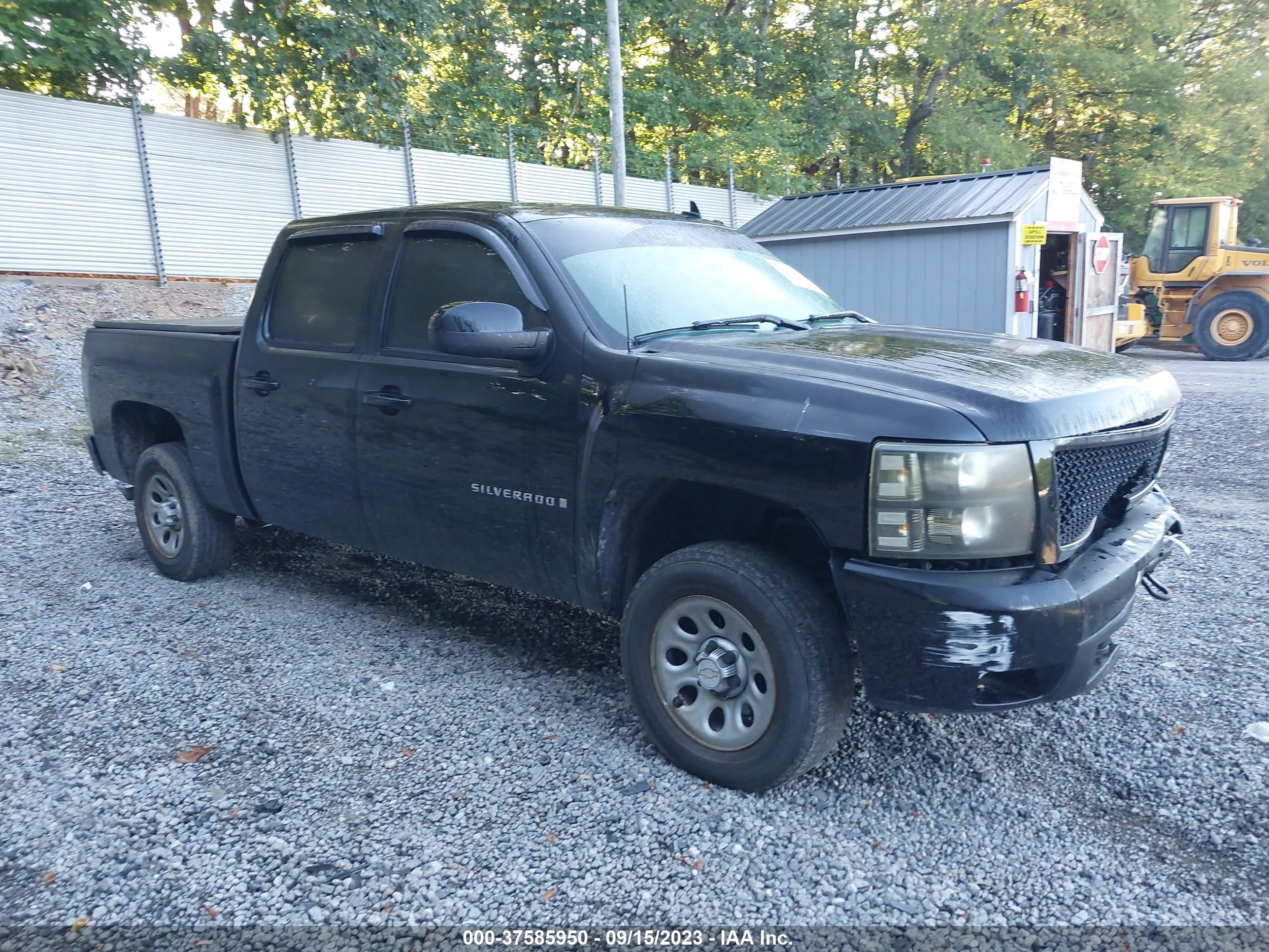 CHEVROLET SILVERADO 2009 3gcek33329g102240