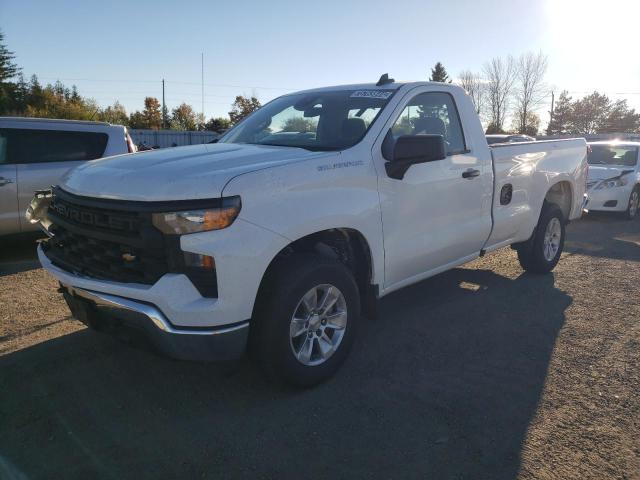 CHEVROLET SILVERADO 2024 3gcnaaed5rg259516