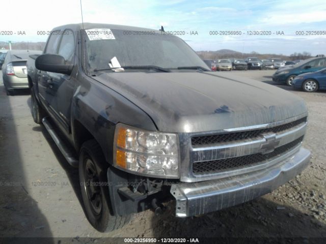 CHEVROLET SILVERADO 1500 2011 3gcpcrea0bg137725