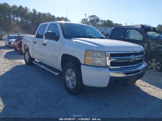 CHEVROLET SILVERADO 1500 2011 3gcpcrea6bg128205