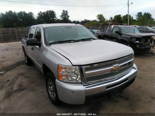 CHEVROLET SILVERADO 1500 2011 3gcpcrea7bg104835