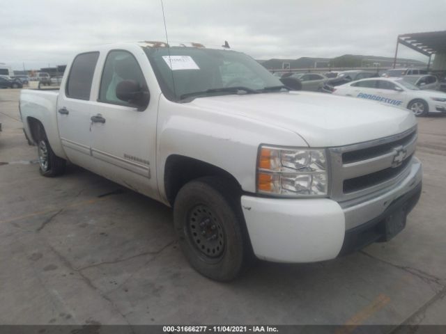 CHEVROLET SILVERADO 1500 2011 3gcpcrea9bg340306