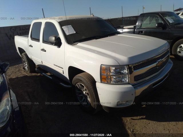 CHEVROLET SILVERADO 1500 2011 3gcpcse00bg236995