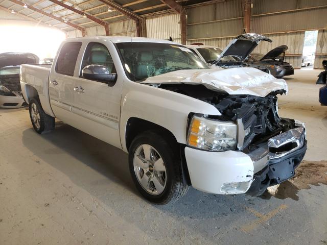 CHEVROLET SILVERADO 2011 3gcpcse00bg298901