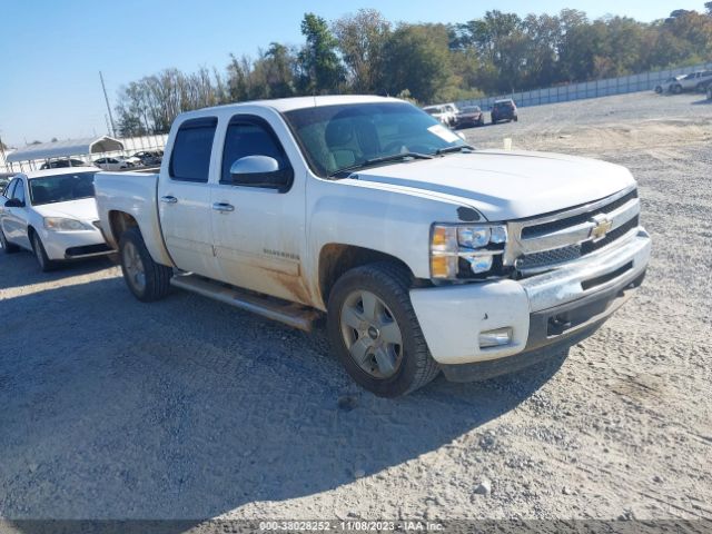 CHEVROLET SILVERADO 1500 2011 3gcpcse00bg401704