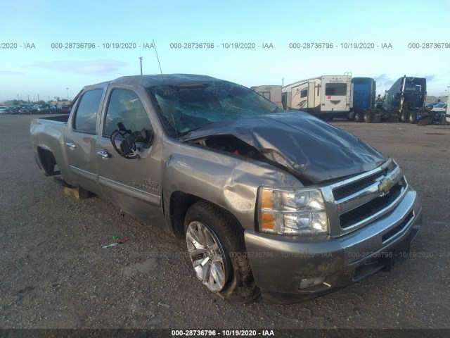 CHEVROLET SILVERADO 1500 2013 3gcpcse00dg330233