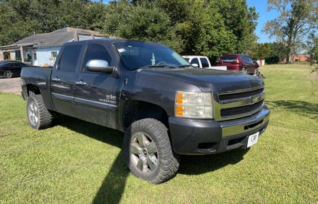 CHEVROLET SILVERADO 1500 2011 3gcpcse01bg104750