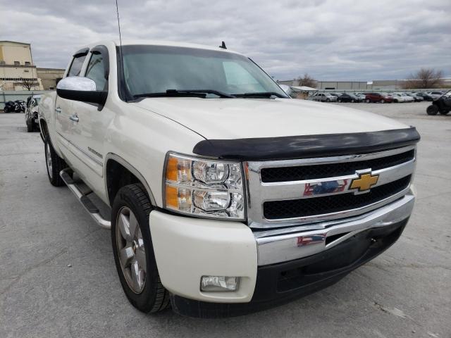 CHEVROLET 1500 2011 3gcpcse01bg222894