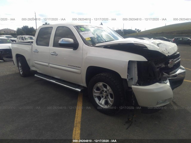 CHEVROLET SILVERADO 1500 2011 3gcpcse01bg331324