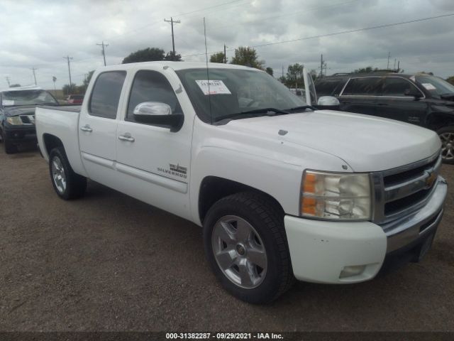 CHEVROLET SILVERADO 1500 2011 3gcpcse01bg341285